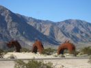 PICTURES/Borrego Springs Sculptures - Dinosaurs & Dragon/t_IMG_8826.JPG